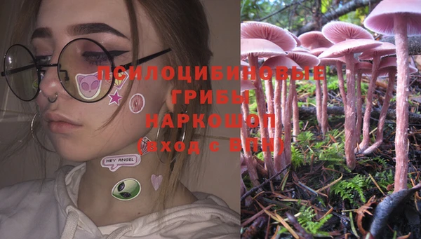 прущие крисы Аркадак