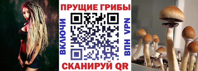 Галлюциногенные грибы ЛСД  Павловский Посад 